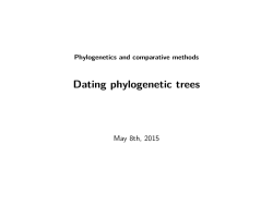 Dating phylogenetic trees