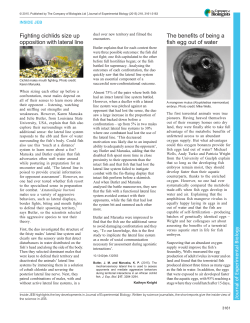 PDF - Journal of Experimental Biology