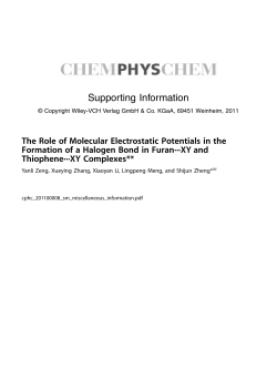 Supporting Information