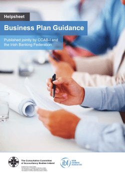 Business Plan Guidance - CCAB-I
