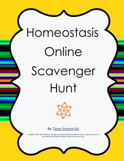 Homeostasis Online Scavenger Hunt