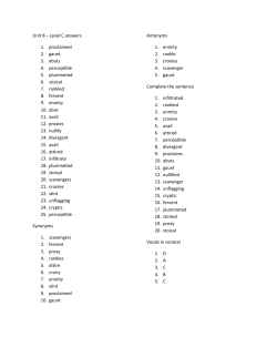 Unit 8 answers-level C-1v6kuxp