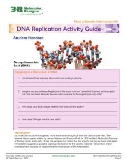 DNA Replication Activity Guide