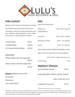 Lulu`s Menu - Lulu`s Latin Rotisserie and Grill
