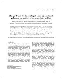 Efficacy of different biological control agents against