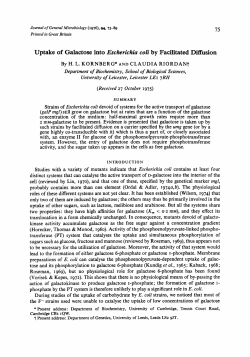 Uptake of Galactose into Escherichia coli by