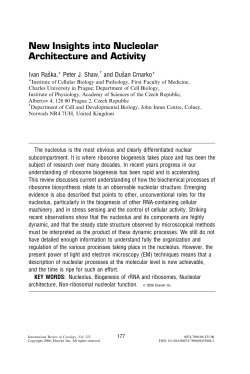New Insights into Nucleolar Architecture and Activity