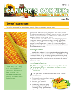 sweet corn - Wyoming Extension