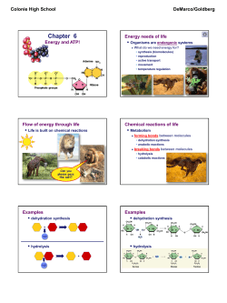 Lecture 015--Energy and ATP