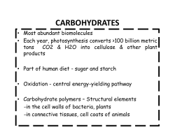 Monosaccharides