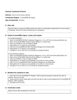 Customer Transfection Protocol Cell Line: L02 (immortal hepatic cell