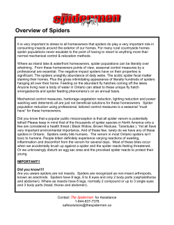 Spider Overview