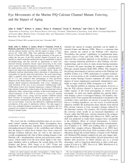 Eye Movements of the Murine P/Q Calcium Channel Mutant