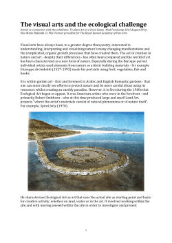 The visual arts and the ecological challenge
