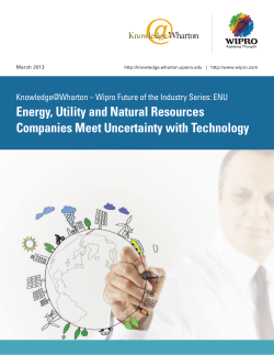 Energy, Utility and Natural Resources Companies