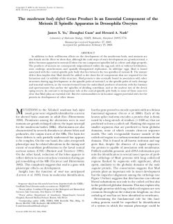 The mushroom body defect Gene Product Is an Essential