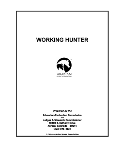 working hunter - Arabian Horse Association