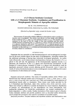 d , 3 Glucan Synthesis Correlated with a4,3