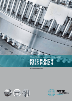 FS12 Punch FS19 Punch