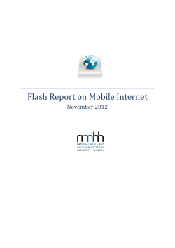 Flash Report on Mobile Internet