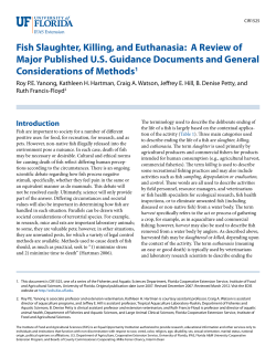 Fish Slaughter, Killing, and Euthanasia: A Review of Major