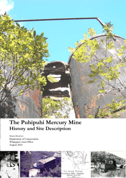 The Puhipuhi Mercury Mine, History and Site Description