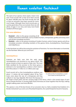 Human evolution factsheet