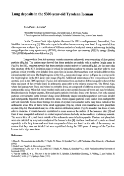 Lung deposits in the 5300-year-old Tyrolean Iceman