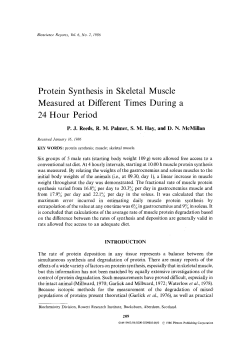 Protein synthesis in skeletal muscle measured at different times