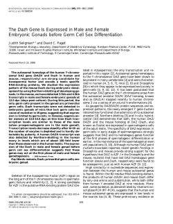 The Dazh gene is expressed in male and female