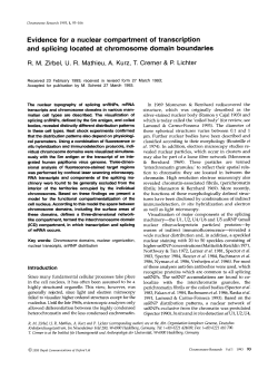 Evidence for a nuclear compartment of transcription and splicing