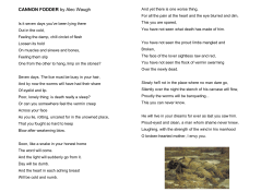 CANNON FODDER by Alec Waugh