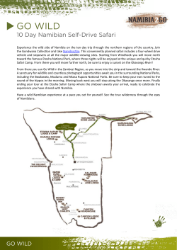 GO WILD - Namibia2Go