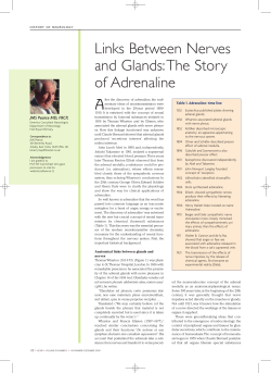 Links Between Nerves and Glands: The Story of Adrenaline