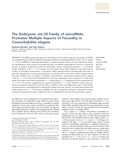 The Embryonic mir-35 Family of microRNAs Promotes Multiple