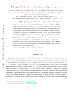 Defining individual size in the model filamentous fungus $\ textit