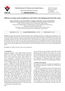 Differences in drone sperm morphometry and