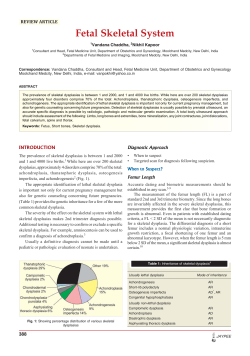 Fetal Skeletal System