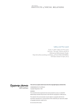 Safety and The Lizard