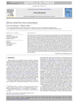 African swine fever virus transcription - african swine fever (eurl