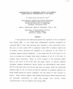 California Institute Of Technology