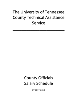 The University of Tennessee County Technical Assistance Service