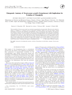 Ontogenetic Anatomy of Streptocarpus grandis