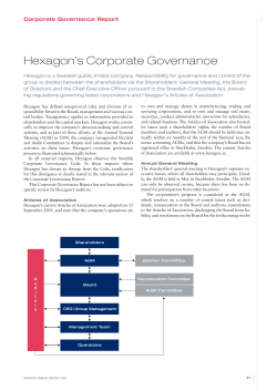 Hexagon`s Corporate Governance