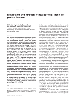 Distribution and function of new bacterial intein