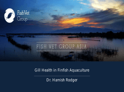 Gill Health in Finfish Aquaculture Dr. Hamish Rodger