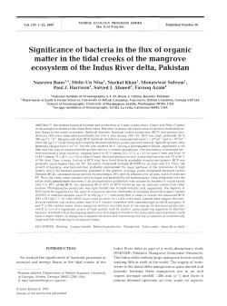 Significance of bacteria in the flux of organic matter in the tidal