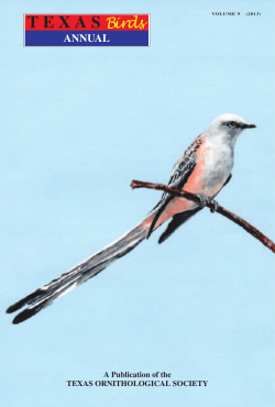Texas Birds Annual 2013 - Texas Ornithological Society
