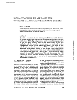 rapid activation of the medullary bone osteoclast cell surface by