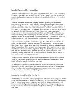 Intestinal Parasites of Pet Dogs and Cats